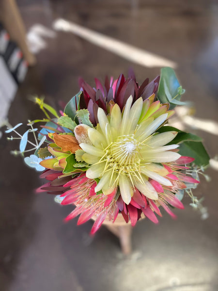 Tasmanian Native Posies Medium